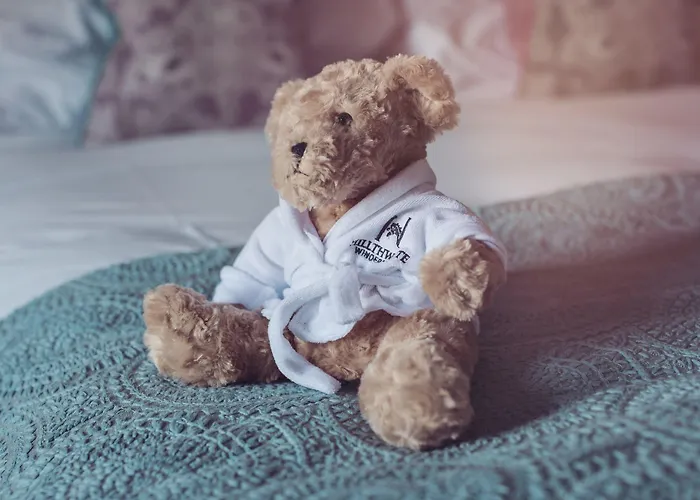 Hillthwaite Отель Уиндермир